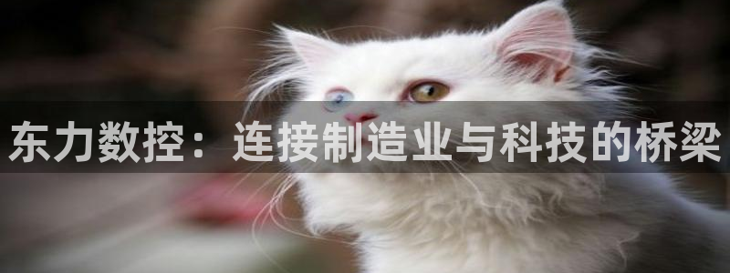 nba天辰娱乐