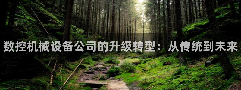 天辰娱乐上级