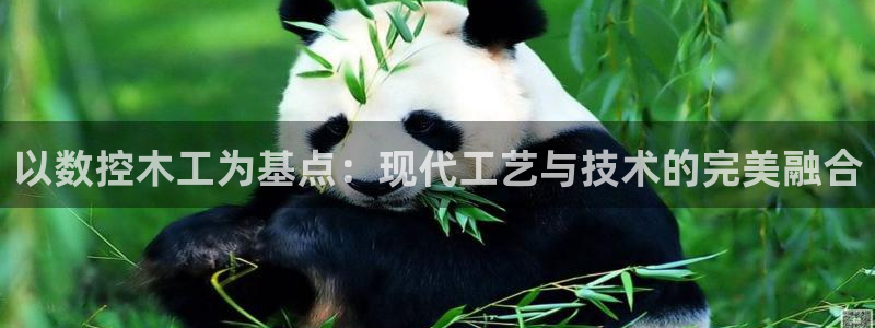 天富娱乐与天辰娱乐