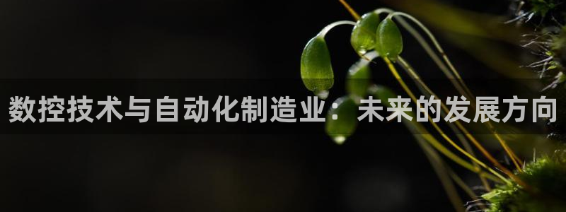 天辰娱乐44616