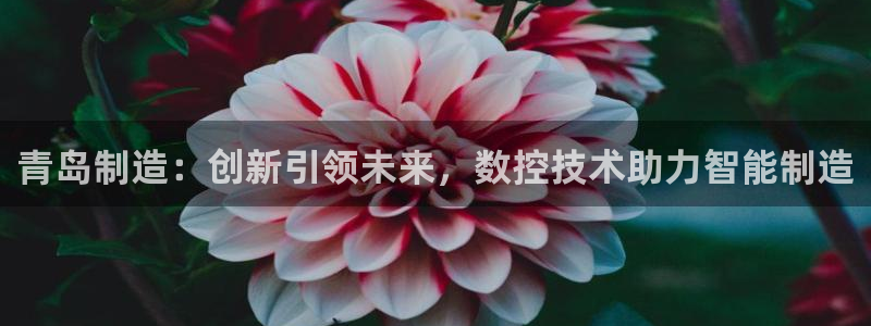 天辰娱乐-q