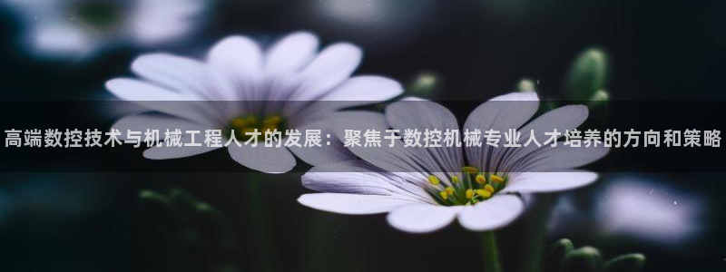 天辰娱乐元宝