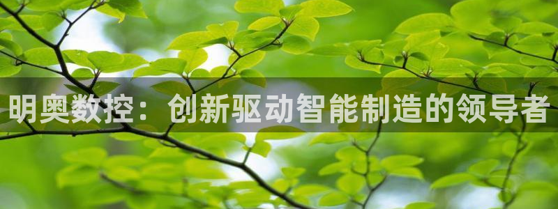 天辰a娱乐