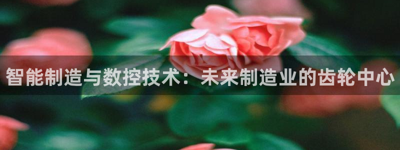 天辰娱乐44616