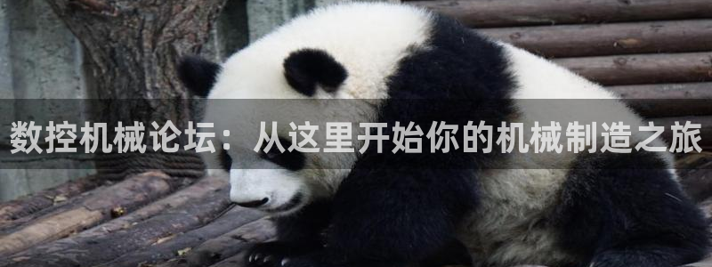天辰在线娱乐