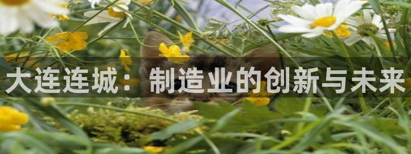天辰娱乐解封
