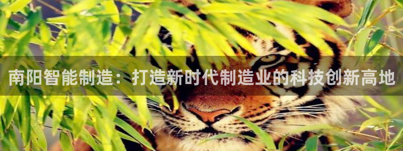 手机上怎么下载天辰娱乐