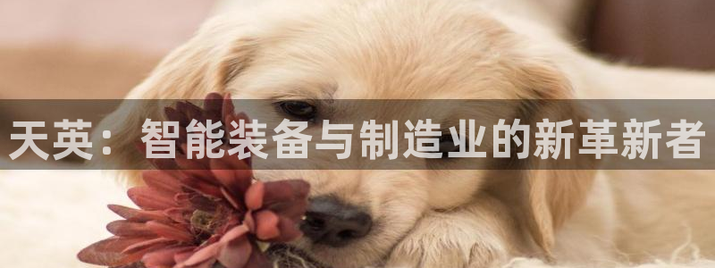 天辰娱乐指尖所