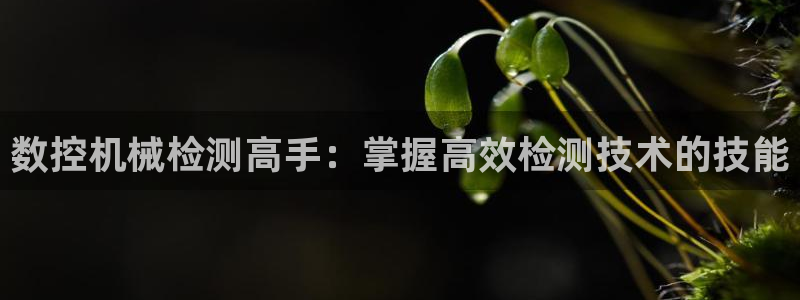 天辰娱乐官方登录下载