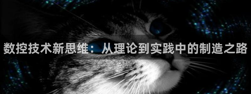 天辰娱乐平台入口