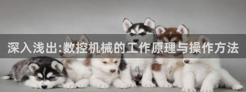 天辰娱乐赌博
