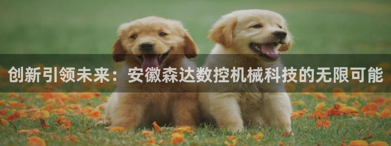 天辰娱乐_ 18113