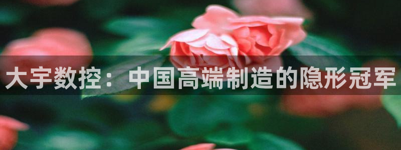 天辰娱乐线路