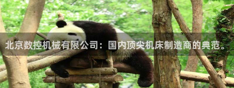 天辰娱乐首选