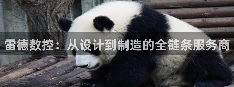 天辰娱乐天辰宝