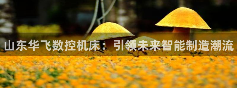 天辰娱乐1996