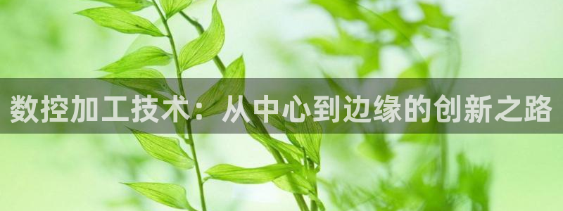 天辰娱乐白屏
