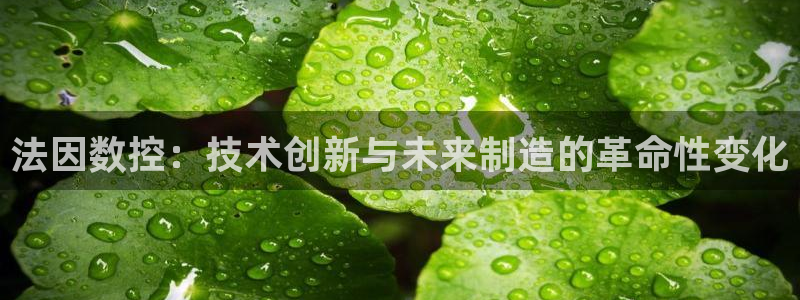天辰娱乐1996