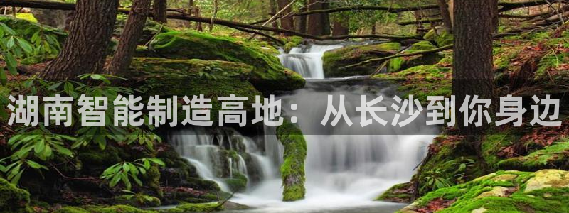 天辰娱乐国际