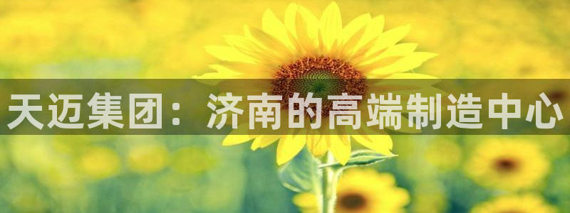 天辰线上娱乐