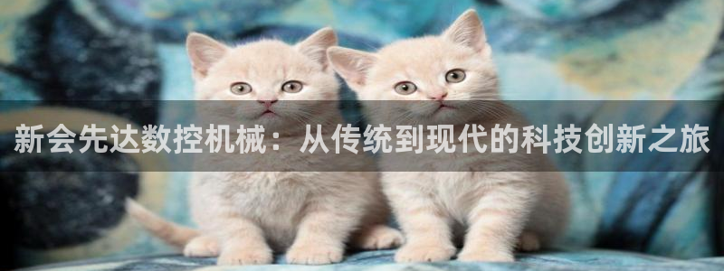 天辰娱乐44616