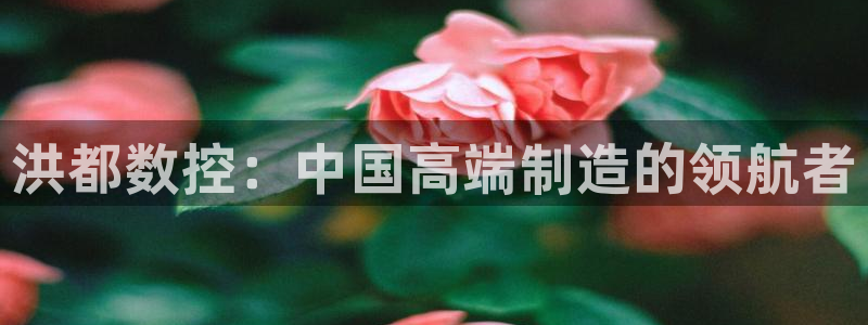 天辰娱乐957807