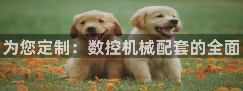 常州天辰娱乐:为您定制:数控机械配套的全面