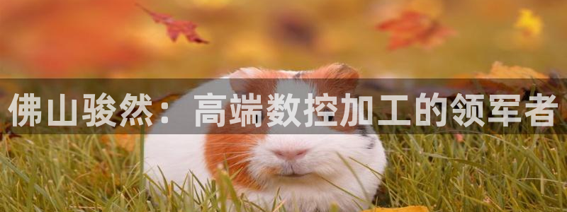 天辰娱乐电话:佛山骏然:高端数控加工的领军者
