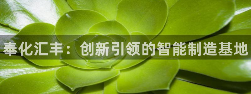 集宁天辰娱乐