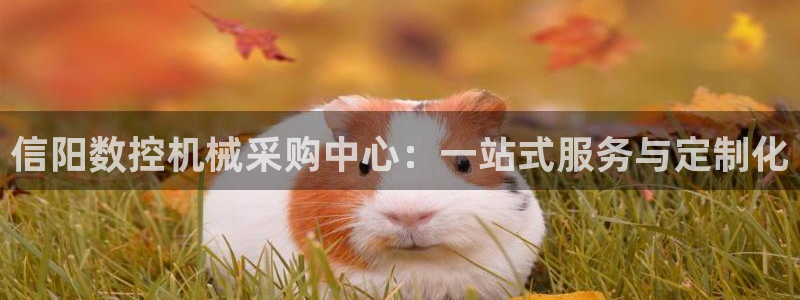 天辰 娱乐