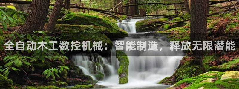 天辰娱乐上级