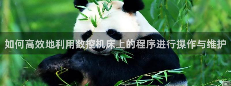 天辰娱乐主管