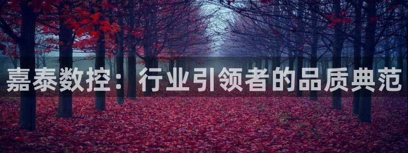 天辰娱乐待遇:嘉泰数控:行业引领者的品质典范