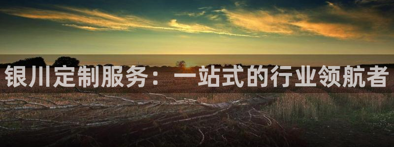 天辰娱乐53551:银川定制服务:一站式的行业领航者