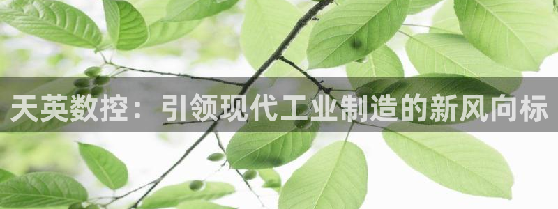 天辰娱乐39596:天英数控:引领现代工业制造的新风向标