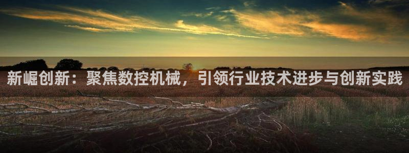 天辰娱乐1996:新崛创新:聚焦数控机械,引领行业技术进步与创新实践