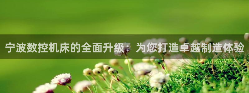 天辰娱乐股东