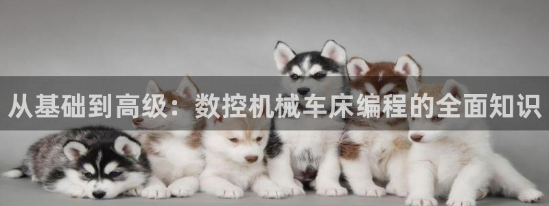 天辰娱乐天辰注册登录