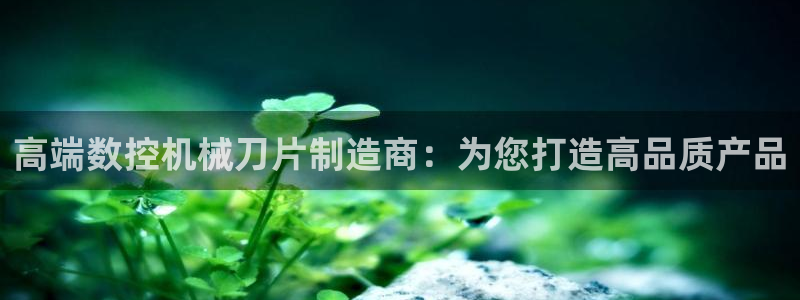 天辰平台娱乐：高端数控机械刀片制造商：为您打造高品质产品