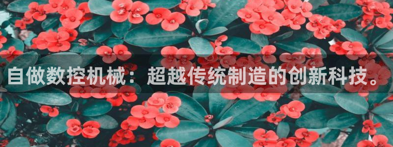 天富娱乐天辰娱乐