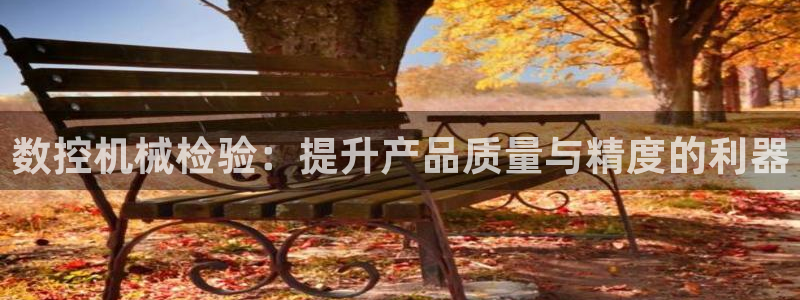 天辰娱乐上级