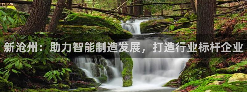 天辰娱乐娱乐平台：新沧州：助力智能制造发展，打造行业标杆企业