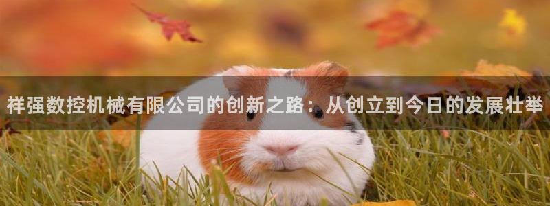 天辰娱乐元宝：祥强数控机械有限公司的创新之路：从创立到今日的发展壮举