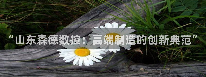 天辰娱乐文化
