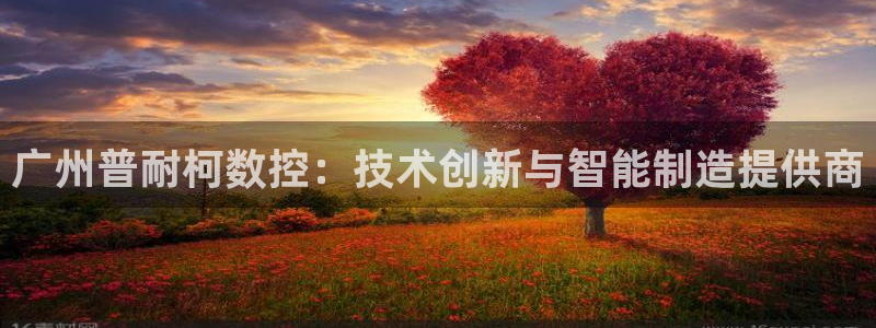 天辰娱乐会所:广州普耐柯数控:技术创新与智能制造提供商