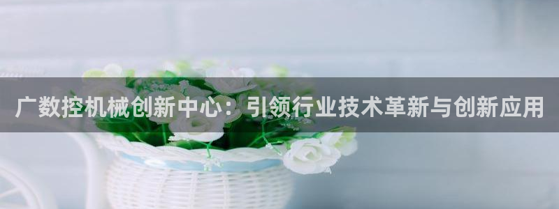 天辰娱乐 . 鱼刺:广数控机械创新中心:引领行业技术革新与创新应用