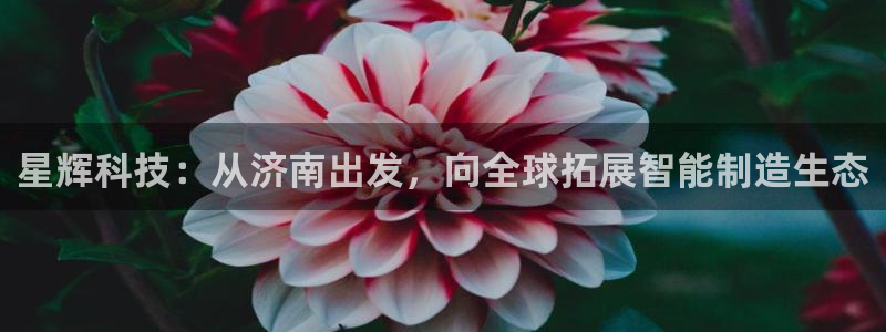 天辰娱乐 天辰平台