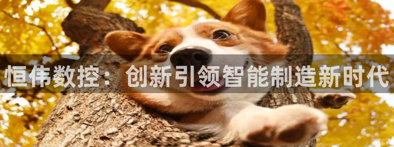天辰娱乐所:恒伟数控:创新引领智能制造新时代