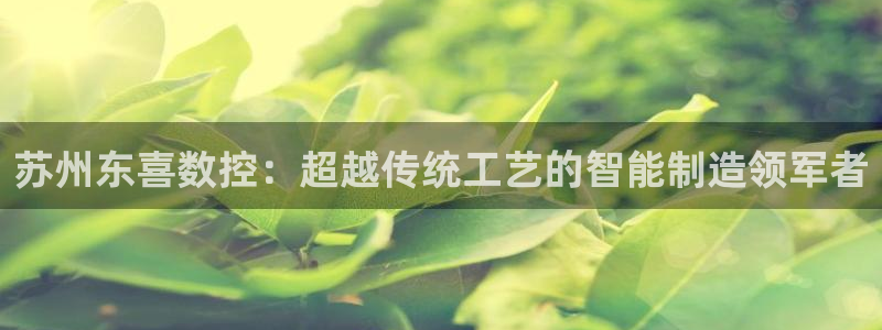天辰娱乐怎么样:苏州东喜数控:超越传统工艺的智能制造领军者