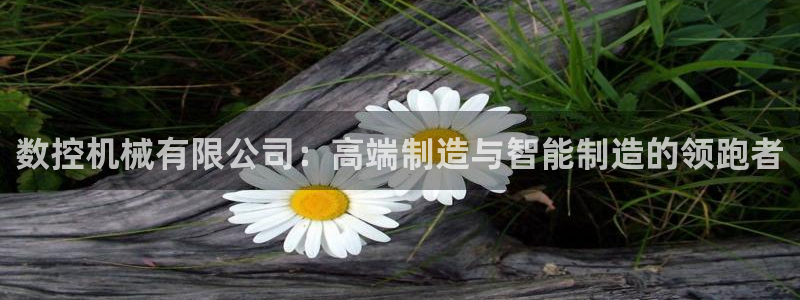 天辰娱乐卡:数控机械有限公司:高端制造与智能制造的领跑者